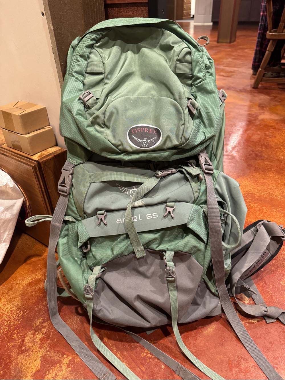 OSPREY Women’s Ariel 65 Backpack in Sage Green and Gray